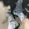 The 11 Most Comfortable Sneakers for Seniors, Tested by PEOPLE