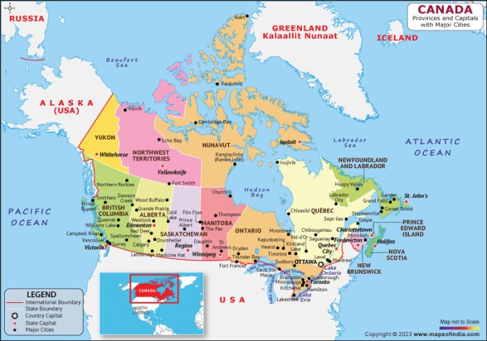 Canada sneakers fashion